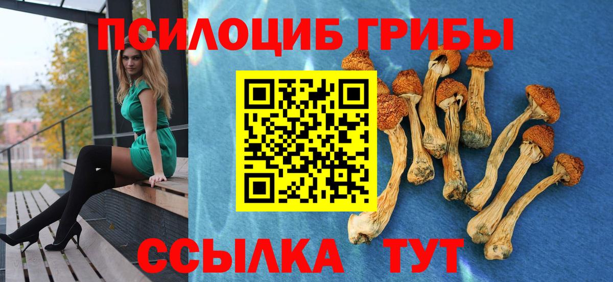 Галлюциногенные грибы GOLDEN TEACHER Малоярославец