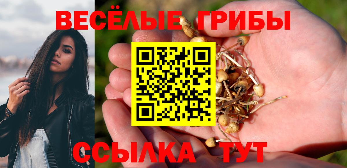 наркошоп  Вход с VPN  Малоярославец  Псилоцибиновые грибы мухоморы 